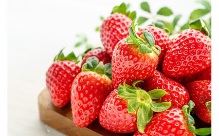 こだわり栽培　いちご　【食べ比べ】　すず（1pac) x　ゆめのか(1pac) 【2025年12月～2026年4月末までお届け】