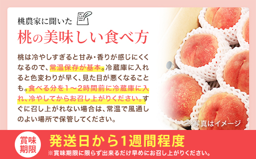 桃づくし定期便4品種【2026年産・献上桃の郷桑折町産もも3kg×4回】　【07301-0221】