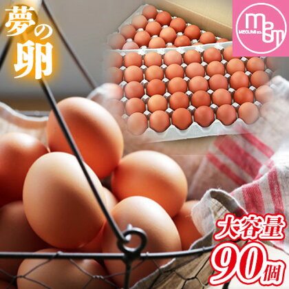卵 たまご 赤玉 夢の卵 90個《90日以内に出荷予定(土日祝除く)》株式会社めぐみ 岡山県 浅口市 送料無料 大容量 大箱 たっぷり