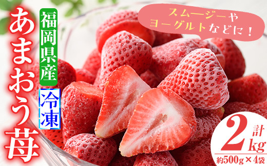 
苺の王様！冷凍あまおう苺(計2kg・約500g×4袋)ふるさと納税 春日市 特産品 いちご イチゴ 冷凍 シャーベット ヨーグルト ジャム＜離島配送不可＞【ksg0065】【南国フルーツ】
