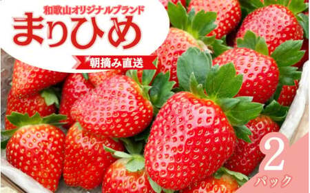 【先行予約】特大まりひめ いちご 朝摘 6個～11個入り×2パック ※2027年1月中旬～2027年3月末頃に順次発送予定（お届け日指定不可）/ いちご 苺 まりひめ 【kiy003A】