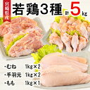 【ふるさと納税】若鶏 むね 手羽元 もも 合計5kg 1kg包装 [アグリ産業匠泰 宮崎県 美郷町 31be0020] 小分け 鶏肉 冷凍 送料無料 炒め物 煮込み 調理 料理 大容量 真空 胸 ジューシー ヘルシー 唐揚げ からあげ チキン南蛮 照り焼き 甘辛煮 とり天 ヤンニョム チキン