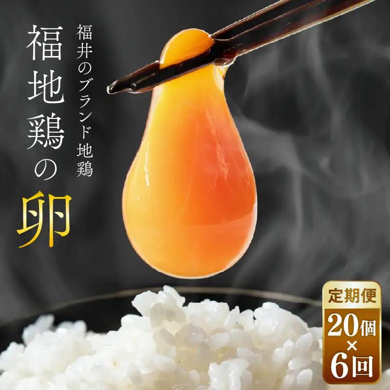 【6ヶ月連続お届け】 福井ブランド 「福地鶏」 の卵 20個 濃厚で甘くておいしい！  定期便 ／ 卵 たまご 鶏卵 生卵 有精卵 高級 高級卵 福地鶏 鶏 平飼い 美味しい こだわり 6ヶ月 定期便 卵かけご飯 料理 あわら市 福井県産