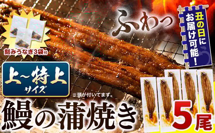 
            うなぎ 国産 鰻の蒲焼 5尾 ＋ きざみうなぎ 30g×3袋 上～特上サイズ《選べる出荷時期)》| うなぎ 蒲焼 国産 うなぎ 小分け うなぎ 国産 うなぎ 父の日 うなぎ 母の日ギフト うなぎ 簡易包装 送料無料 徳島県 上板町
          
