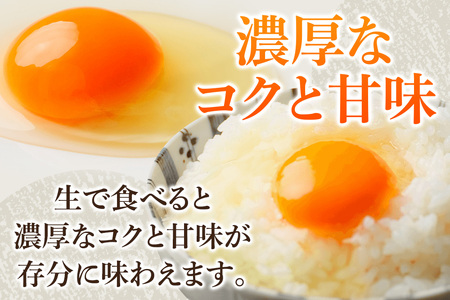 あやめ卵 80個入 【農場HACCP認証】 【JGAP認証】