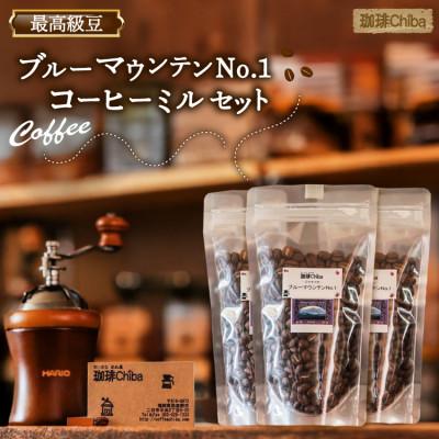 ふるさと納税 筑紫野市 「ブルーマウンテンNo.1」 100g×3 (計300g)・コーヒーミル 1個