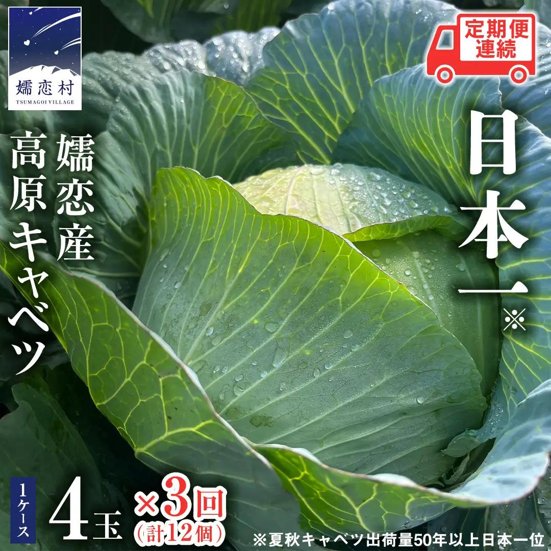 ＜レビューキャンペーン開催中＞【7月中旬発送開始】 嬬恋キャベツ 定期便 嬬恋産 高原 キャベツ 4玉 1ケース  3ヶ月連続 Lサイズ 先行予約 2026年発送 [AS004tu]