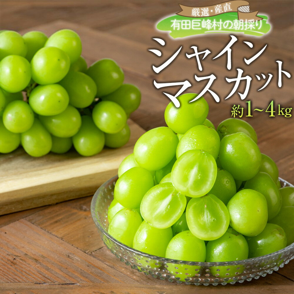【ふるさと納税】[ 厳選 産直 ] 有田巨峰村 朝採り シャインマスカット 選べる容量 約1kg ~ 約4kg 2025年8月中旬頃より順次発送 | 先行予約 葡萄 マスカット フルーツ 果物 くだもの 送料無料 お取り寄せ ギフト 美味しい 人気 おすすめ 期間限定 数量限定