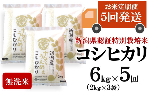 【令和7年産米・5ヶ月定期便】コシヒカリ 無洗米 6kg（2kg×3袋）×5回（計 30kg）ヤタらうんめぇお米 水田環境鑑定士在籍[Y0509]