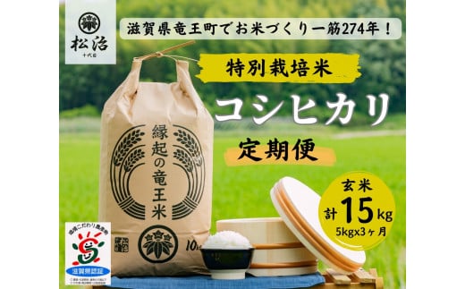 定期便 コシヒカリ 玄米 5kg × 3ヶ月 縁起の竜王米  ( 令和7年産 新米 玄米 15kg 定期 3回 お米 おこめ ごはん 米 特別栽培米 ブランド米 ライス こだわり米 ギフト 国産滋賀県竜王町 )
