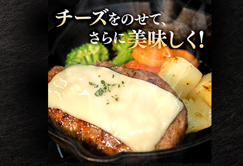 生ハンバーグ120g×6個 常陸牛 100％ 【3ヶ月連続お届け】 513