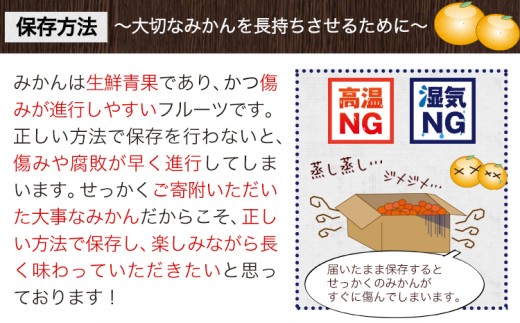 日高川町産みかん 約5kg 2S-M サイズおまかせ マル二《2026年10月中旬-11月末頃出荷》 和歌山県 日高川町 旬 新鮮 果物 柑橘 フルーツ 国産 送料無料 ミカン みかん
