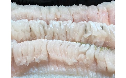 H22-208.竹中水産の定期便３回！「骨切り鱧・１㎏以上（×３回）」