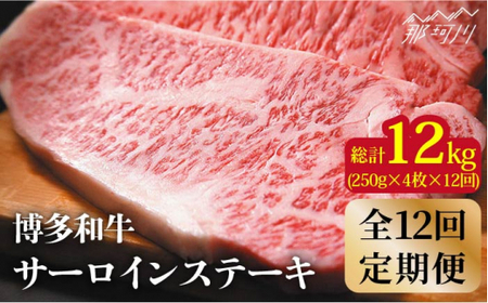 【全12回定期便】博多和牛 牛肉 サーロイン ステーキ 1kg（250g×4枚）＜株式会社MEAT PLUS＞那珂川市 サーロインステーキ肉 サーロインステーキ肉 サーロインステーキ肉 和牛 サーロインステーキ肉  定期便 定期便定期便 [GBW039] 370000 370000円