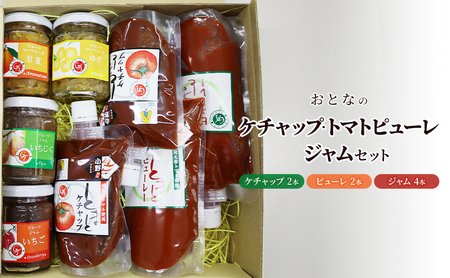 調味料セット おとなのケチャップ トマトピューレ ジャム 調味料セット