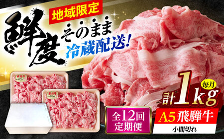 【12回定期便】 ※冷蔵配送/地域限定※ 飛騨牛 小間切 (大) 500g×2セット 瑞浪市 / きなぁた瑞浪 和牛 国産 岐阜県産[AZCI073]