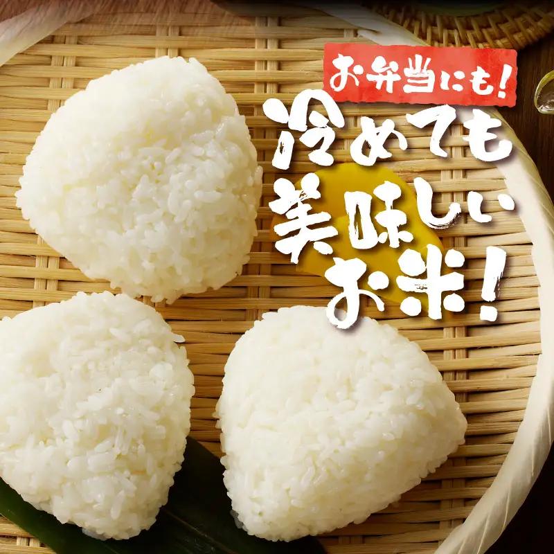 《令和7年産》特別栽培米ななつぼし 10kg×3ヵ月定期便 | 16年連続特A ブランド米 白米 精米 米 お米 こめ 減農薬 単一原料米 ご飯 北海道米 北海道 滝川市