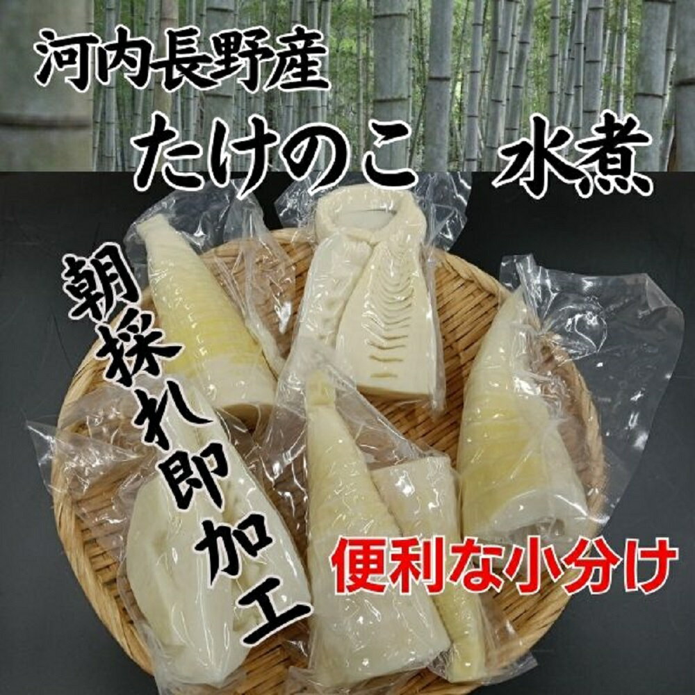 【ふるさと納税】【2026年4月以降順次発送】国産 たけのこ 水煮 朝採れを即加工 タケノコ 竹の子 筍 小分け 長期保存 真空パック たけのこご飯 煮物に｜こだわりの逸品 地域特産品 ギフト 自分用 人気 おすすめ