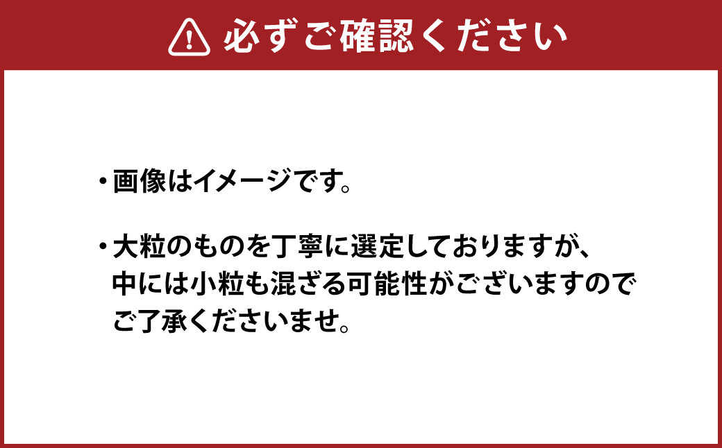 【3か月連続定期便】 熊本県産 大粒 冷凍 ブルーベリー 2kg（500g×4パック）×3回 合計6kg
