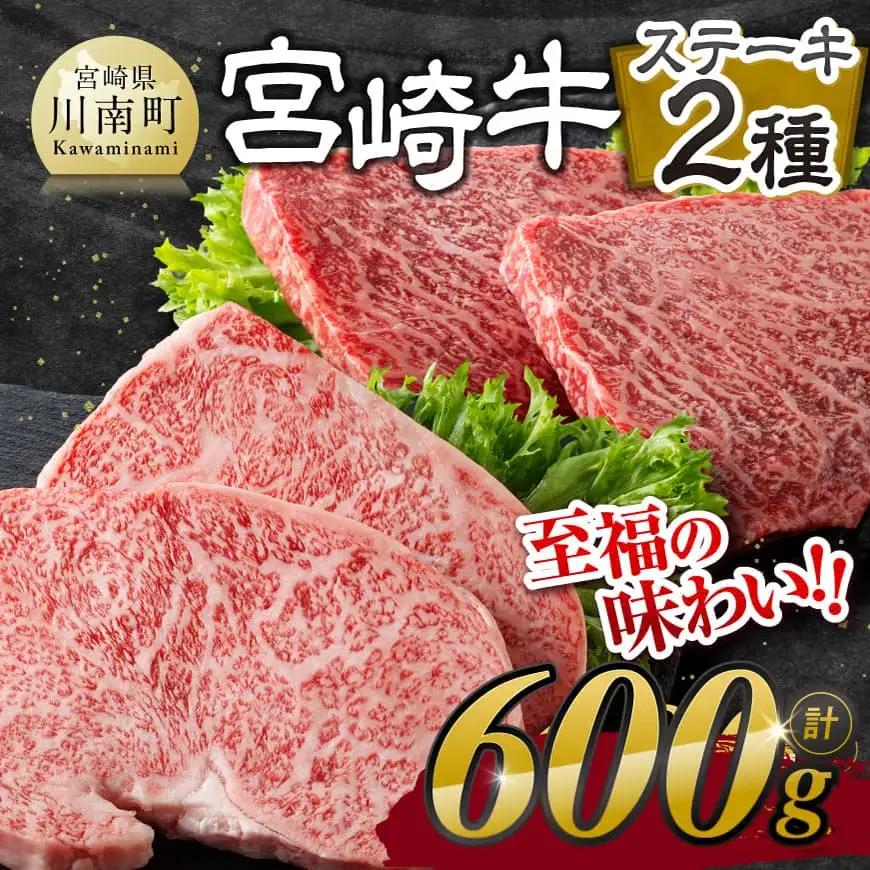 牛肉 【令和8年10月発送】宮崎牛ステーキ2種600g 牛肉