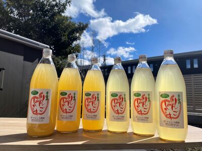 *リンゴジュース 1L× 6本 セット（ シナノスイート ・ サンふじ ） ｜ マルヒラ農園 リンゴ りんご 林檎 リンゴジュース りんごジュース 100％リンゴジュース 100％ジュース シナノスイ