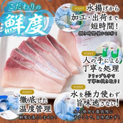 ふるさと納税 垂水市 【鹿児島産】冷蔵ぶり 丸ごと1尾 (内臓処理済み) 約3.7kg【アクアブルー】D4-4704 |  | 01