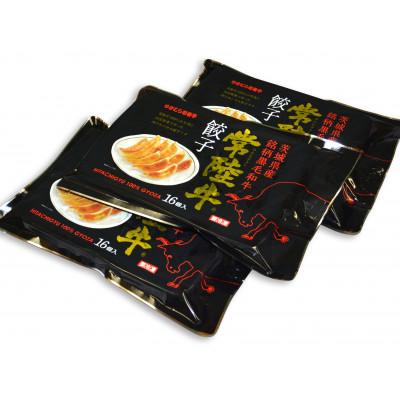 ふるさと納税 土浦市 ゆきむら壱番亭の常陸牛餃子3パック(48個入り)