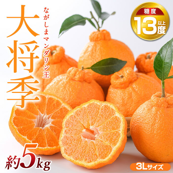 【ふるさと納税】【先行予約】ながしまマンダリン王(大将季) 約5kg オレンジ と ポンカン の交配 不知火 しらぬい ふるさと納税 みかん 柑橘 果物 フルーツ 国産 ふるさと 人気 ランキング 【ながしまマンダリングループ】mandarin-7198