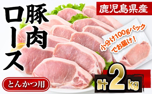 鹿児島県産豚肉ロースとんかつ(計2kg・100g×20P) 豚肉 ロース とんかつ【株式会社羽根】A1082