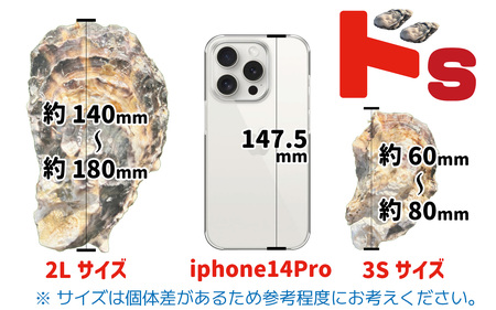 訳あり殻付き生牡蠣 3Sサイズ×30個 生食可 牡蠣