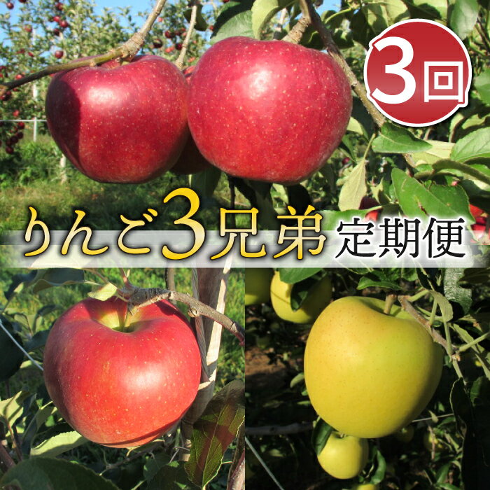 【ふるさと納税】【限定10セット】東御市産りんご3兄弟定期便（3kg×3種 ） ※9月下旬〜11月下旬頃に順次発送予定 秋映 シナノスイート シナノゴールド リンゴ 果物 詰め合わせ ギフト 食べ比べ フルーツ 国産 信州 長野県東御市※9月下旬～11月下旬頃に順次発送予定