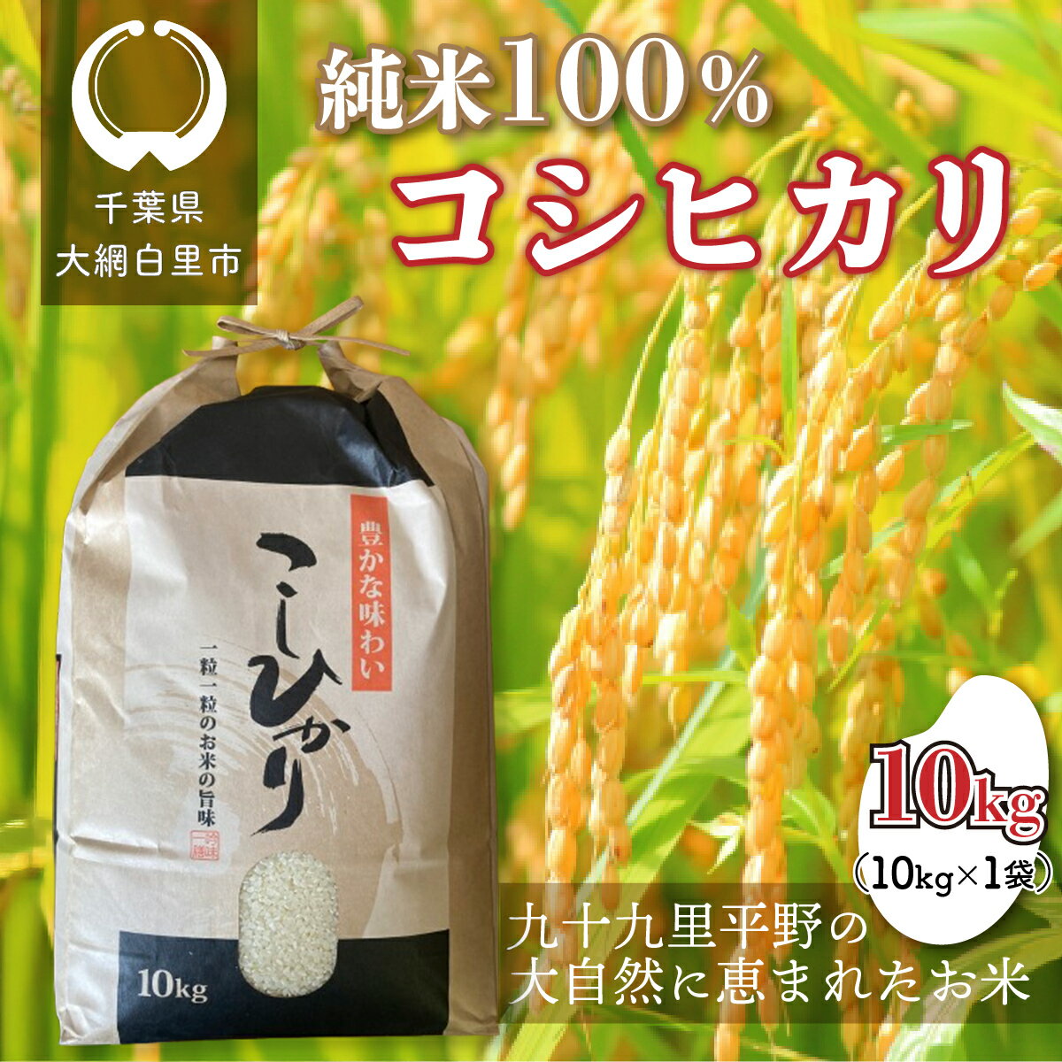 【ふるさと納税】【令和6年産】千葉県 大網白里市産 コシヒカリ 10kg（10kg×1袋） お米 10kg 千葉県産 大網白里市 コシヒカリ 米 精米 こめ 送料無料 J001