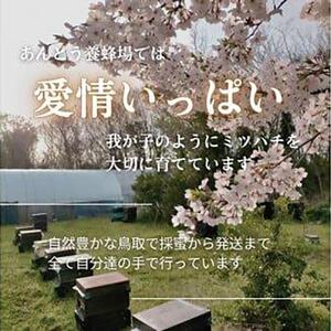 946.天然はちみつ　百花蜜　600g×1本  蜂蜜 ハチミツ ハチ蜜 鳥取県産◇日本全国配送可能