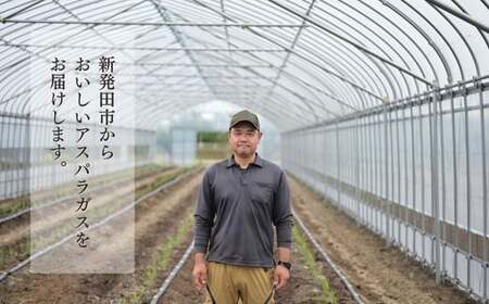 アスパラガス 800g 令和7年産 アスパラ アスパラ アスパラ アスパラ アスパラ アスパラ アスパラ JA001