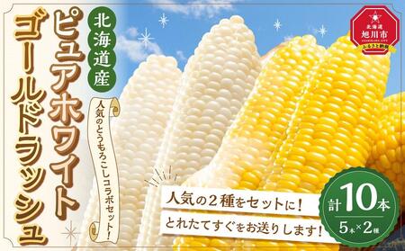 【先行予約】とうもろこしコラボセット!　ピュアホワイト5本×ゴールドラッシュ5本（2025年8月下旬より発送予定） | とうもろこし とうもろこし とうもろこし とうもろこし とうもろこし コーン  コーン  コーン  コーン  コーン _03648