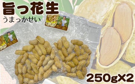 No.178 旨っ花生　500g