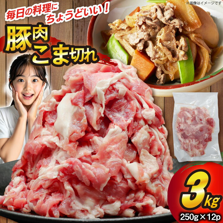 【ふるさと納税】 豚肉 こま切れ 250g 12p 計3kg 豚こま 豚こま肉 豚 こま切れ [司フーズ・システム 兵庫県 三田市 3d28bdy500010] 小分け 真空パック 冷凍 セット こま 小間切れ 豚こま肉 豚小間 豚細切れ 豚小間切れ