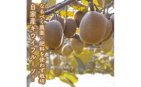 スイスで加工品を学んだ農家が手間暇かけた『手づくりジャムソース【キウイ】』16本セット【 家庭用 自宅用 贈答品 贈答用 ギフト お取り寄せ お中元 お歳暮 贈り物 お祝い 神奈川県 小田原市 】