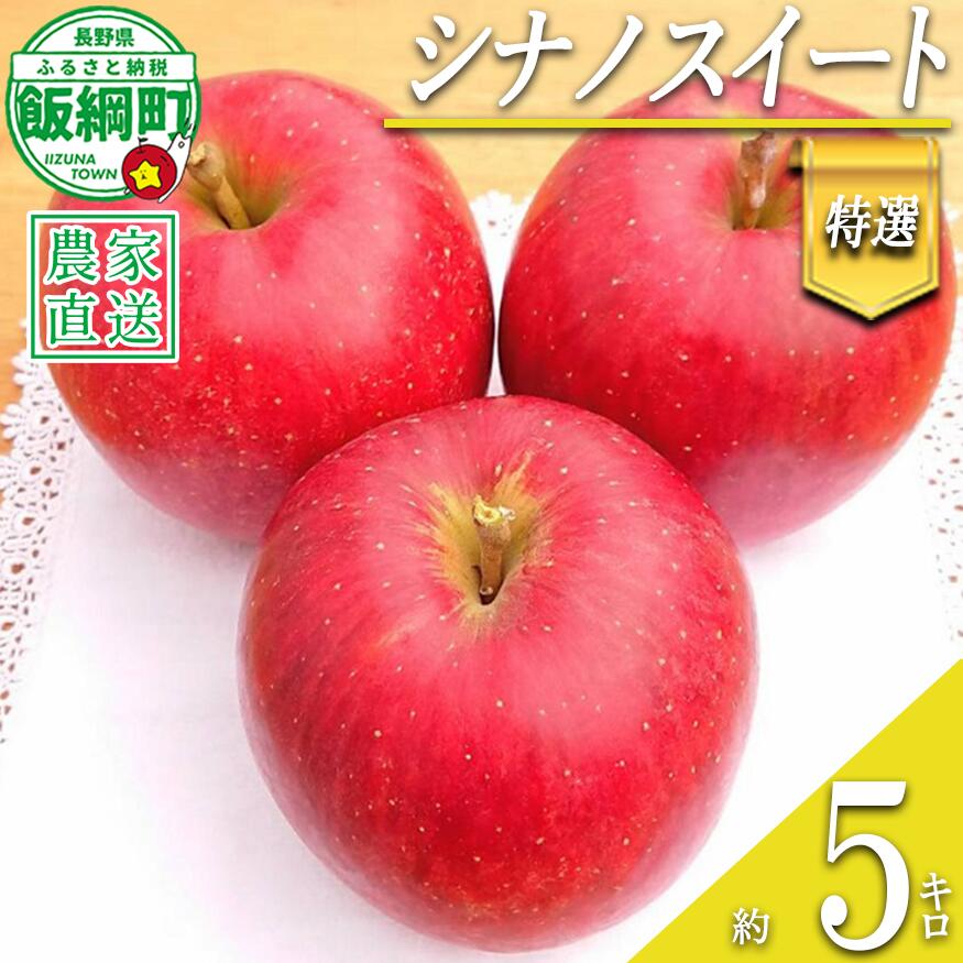 【ふるさと納税】 りんご シナノスイート 特選 5kg やまじゅうファーム 沖縄県への配送不可 令和8年度収穫分 信州の環境にやさしい農産物 減農薬栽培 長野県 飯綱町 【 信州 果物 フルーツ リンゴ 林檎 長野 19000円 】発送時期：2026年10月中旬〜2026年10月下旬{***}