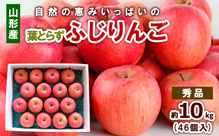 
            自然の恵みいっぱいの葉とらずふじりんご 約10kg(46個) FY25-922
          