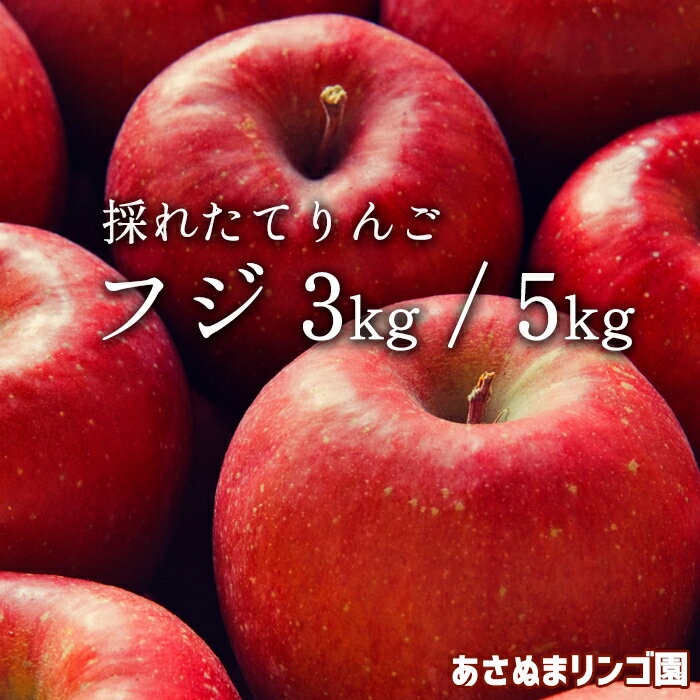 【ふるさと納税】【令和7年度】 数量限定 リンゴ ふじ 5kg おすすめ ／ 5キロ 林檎 りんご 果物 フルーツ 旬 くだもの 美味しい シャキシャキ 甘い グルメ おすすめ 農家直送 ぱりぱり 赤 フジ 赤い あさぬまリンゴ園 国産 岩手県産 雫石町 産地直送 送料無料