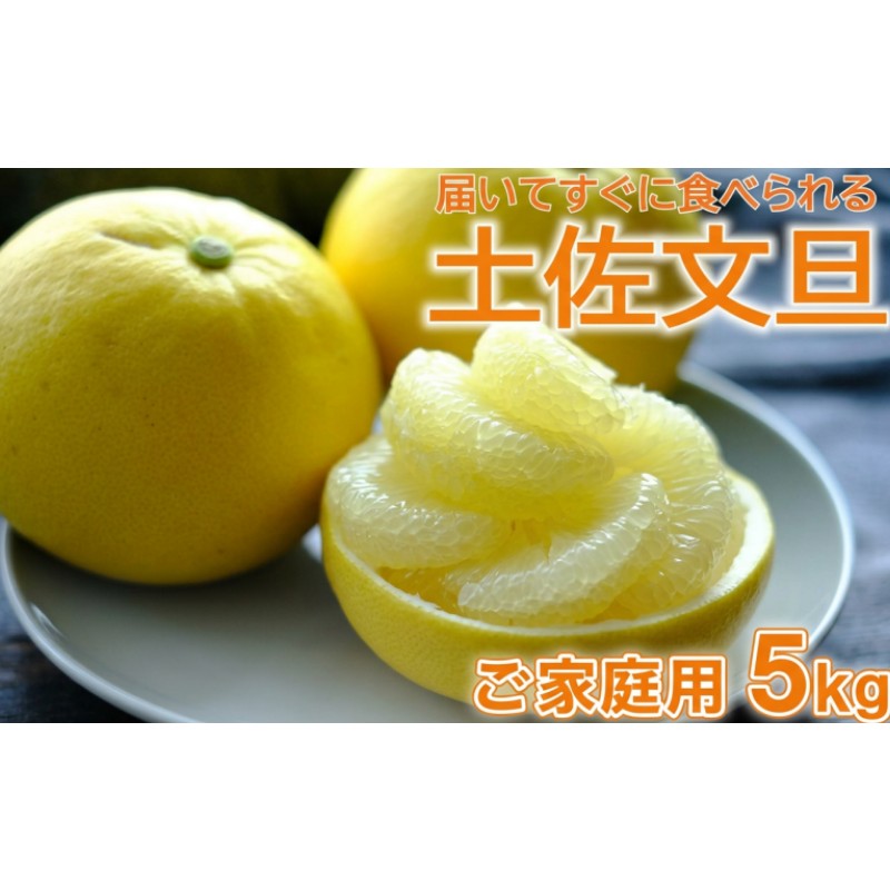 土佐文旦 5kg L〜3L ご家庭用 高知 黒潮町 文旦 ぶんたん 柑橘 フルーツ 果物 文旦5kg 家庭用文旦 9〜12個 産地直送 citrus 文旦セット 大玉 小玉 サイズ統一 高知文旦 国産