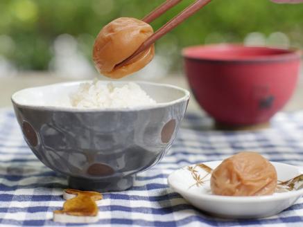 【現寄付額は9月まで】【ご家庭用】最高級紀州南高梅・大粒 食べ比べセット 700g×2　（桃風味・こんぶ風味）【inm800-7】