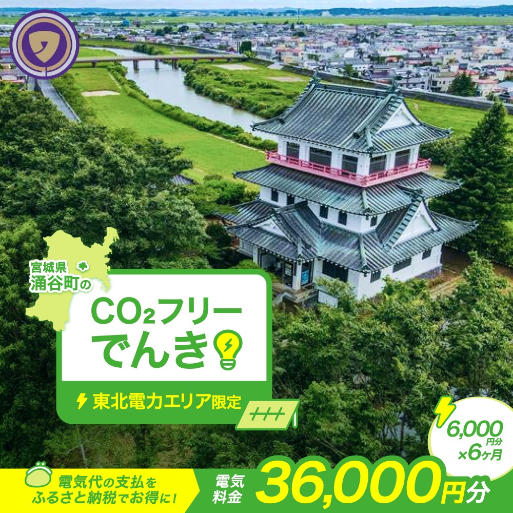 涌谷町CO2フリーでんき 6,000円×6ヶ月コース【※※お申込み前に申込条件を必ずご確認ください】 東北電力 電気 電力 東北 電気代 電気料金 青森県 岩手県 宮城県 秋田県 山形県 福島県 新潟県 でんき