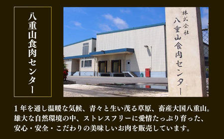 【2025年12月発送】石垣産経産牛ハンバーグ150g×6/箱