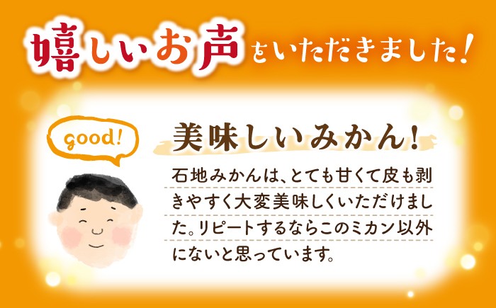 みかん 石地みかん 