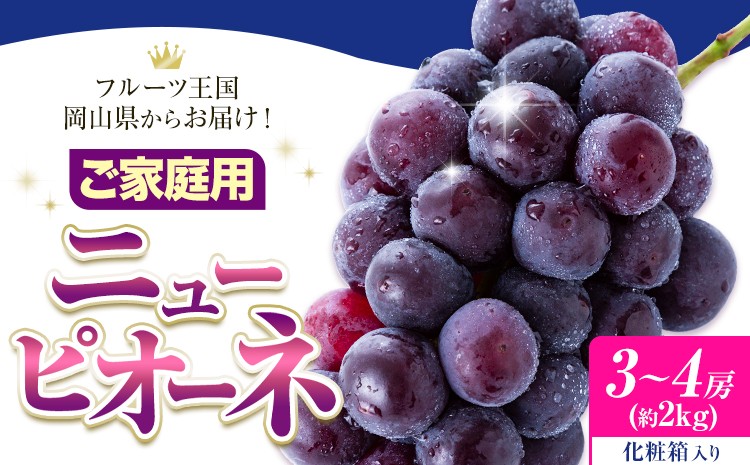
                  ご家庭用 フルーツ王国 岡山県産 ニューピオーネ 化粧箱入り 3房 ～ ４房 2kg【先行予約】 Lino ＆ Kai Farm《2026年9月中旬-10月中旬頃出荷》ピオーネ 送料無料 岡山県 浅口市 ニューピオーネ 岡山 ぶどう フルーツ 果物
                