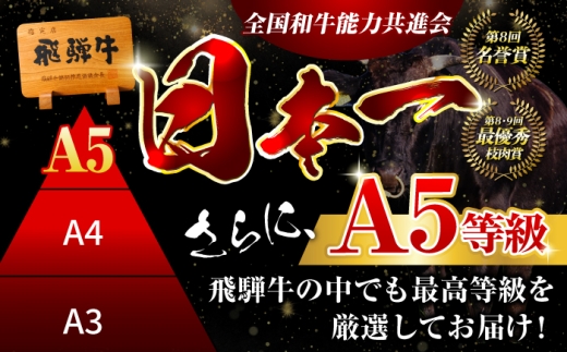 飛騨牛 サーロイン（ステーキ用）800g（200g×4枚）飛騨牛 国産 肩ロース ロース ステーキ 黒毛和牛 和牛 牛肉 BBQ steak 岐阜県 / 御嵩町 / 馬力家 [AVBO079]