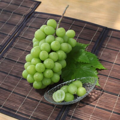 ふるさと納税 2026年先行予約 厳選 山梨県山梨市産 シャインマスカット 約1.5kg(2～3房)【配送不可地域：離島】