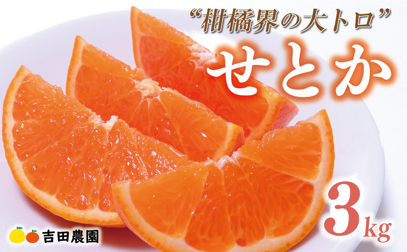 
            数量限定 先行予約 せとか 3kg みかん サイズミックス 18000円 高級 人気 ブランド プレミアム 柑橘 果物 フルーツ 数量限定 期間限定 産地直送 国産 農家直送 特産品 お取り寄せ ギフト プレゼント mikan 蜜柑 ミカン オレンジ スマイルカット ビタミン 甘い おいしい 大トロ 不揃い 吉田農園 愛南町 愛媛県
          